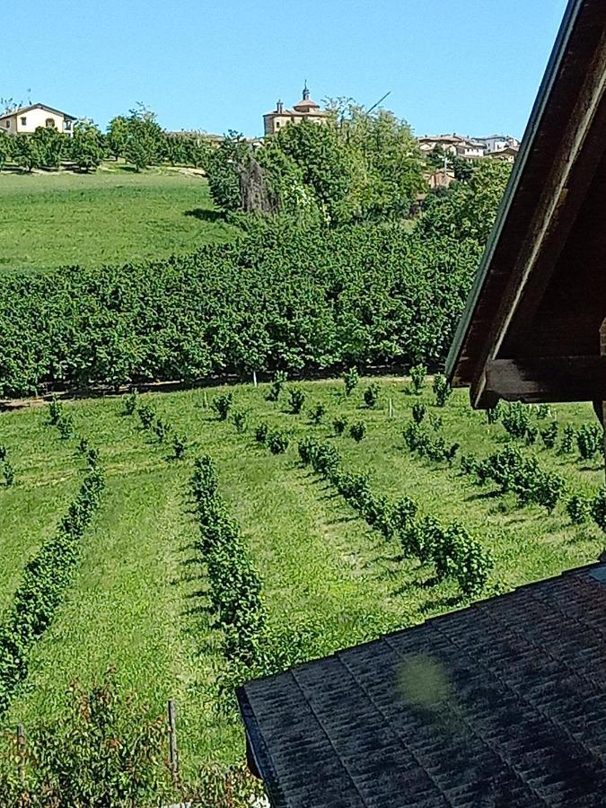 Vite Dipinte 1 Bilocale In Langa Leilighet Novello Eksteriør bilde